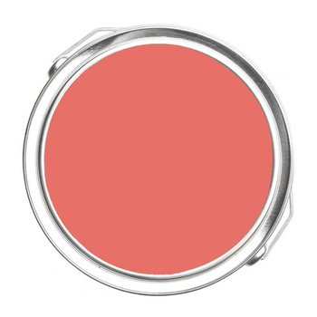 1305 - Bird Of Paradise Benjamin Moore