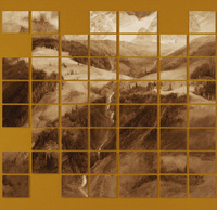 pomarańcz