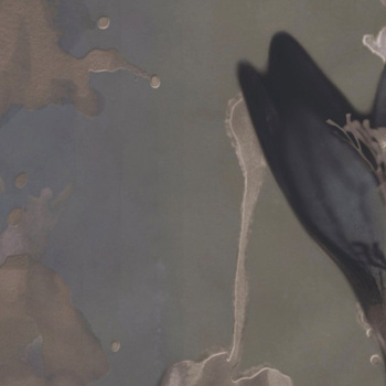 WDDE2001 – fototapeta Delilah Contemporary 2020 Wall & Deco