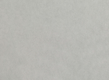 W399/06 – tapeta Asper Lomasi Wallcoverings Romo