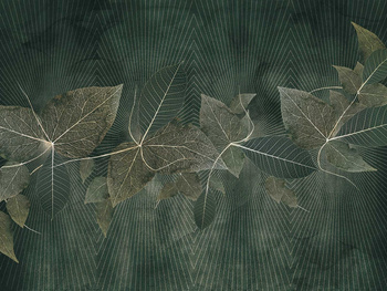 FOTOTAPETA BLARA 615 31 2201 WALLCRAFT