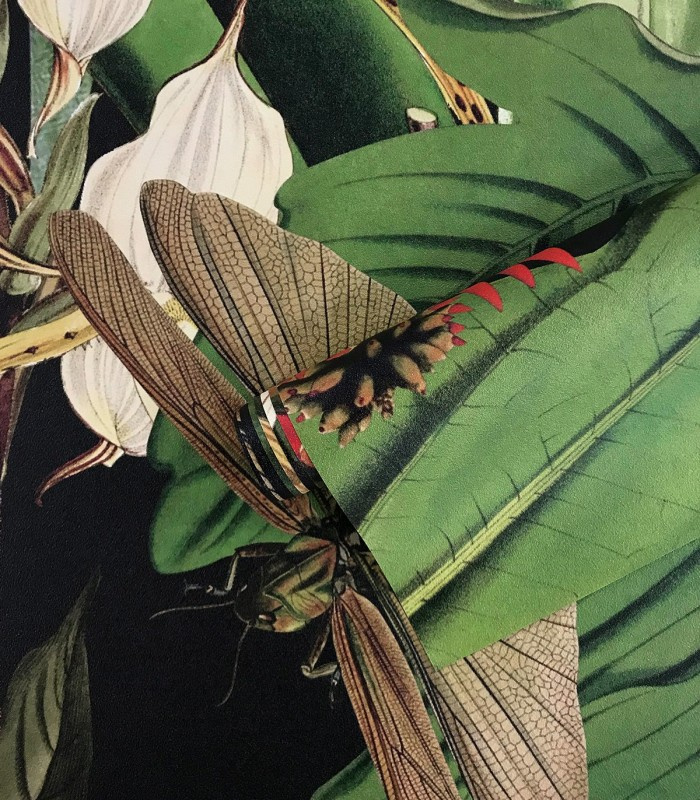 Struktura tapety Tropical Composition Wallcolors z motywem tropikalnych liści i owadów