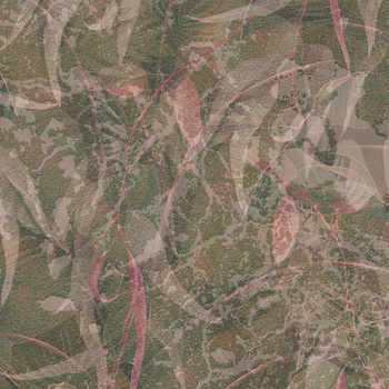 519_004 – fototapeta Tribe Taplab