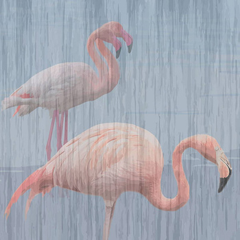 013_001 – fototapeta Taplab