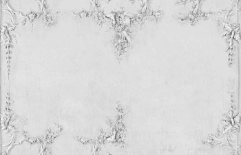 6800503 - panel Ceiling  Original Random Papers II Coordonne