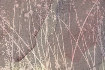 256_002 – fototapeta Taplab