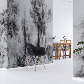 Calm Black and White - tapeta Wallart