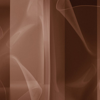 WET_TT1902 – fototapeta Tip toe Wet System Wall&Deco