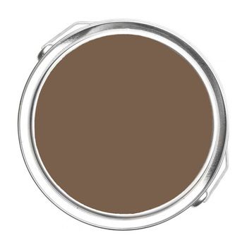 1029 - Coconut Grove Benjamin Moore