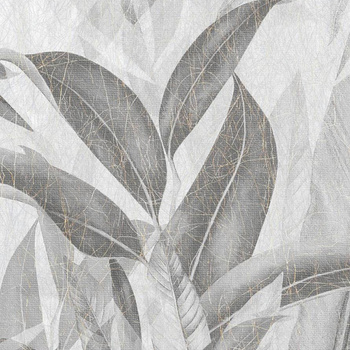 511_005 – fototapeta Pacho Taplab