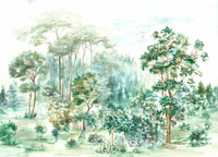 Non-woven