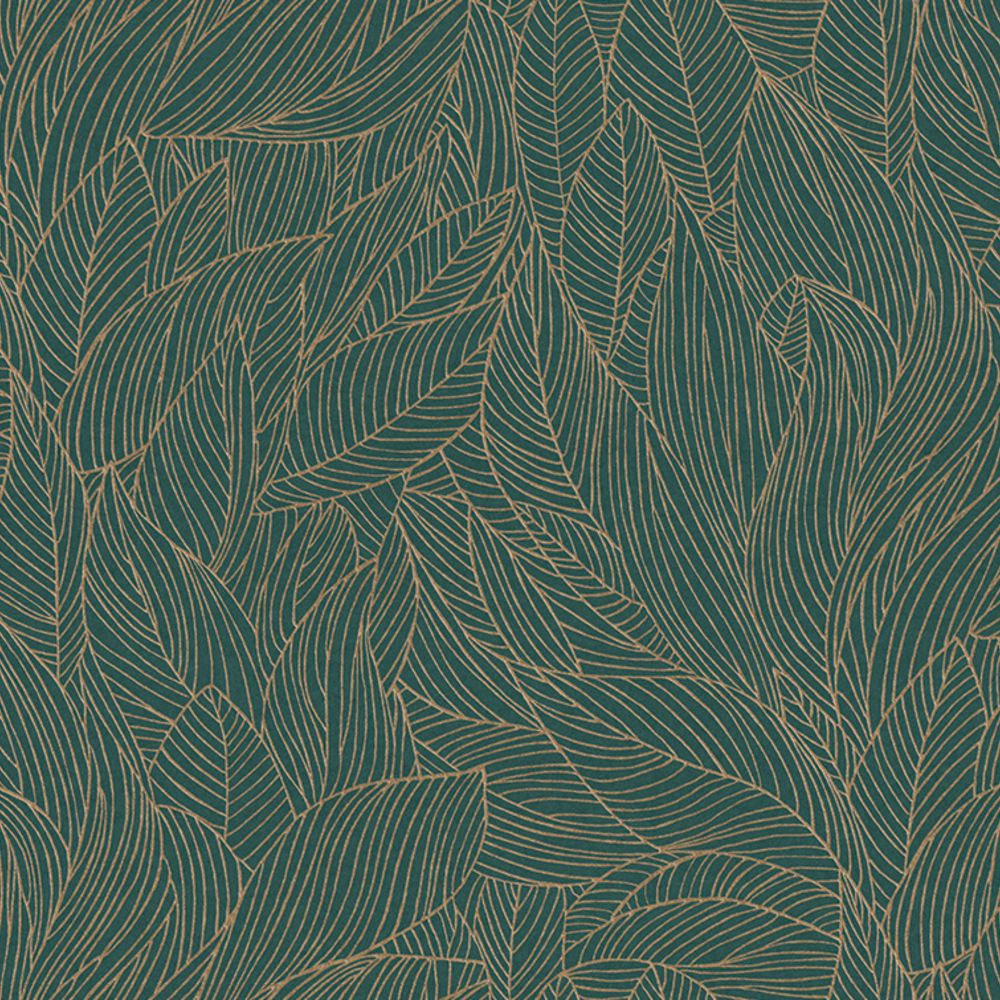 76602650 - Tapeta Hosta Jardin Felicia Casamance – Casamance – zdjęcie produktu