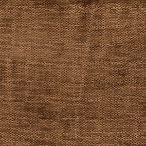 DEMOISELLE FAUVE-TKANINA CASAMANCE DEMOISELLE