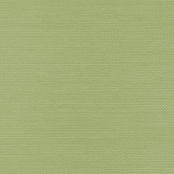 W47.380 – tapeta Ralph Vinylpex