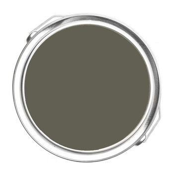 2138-30 Mohegan Sage Benjamin Moore