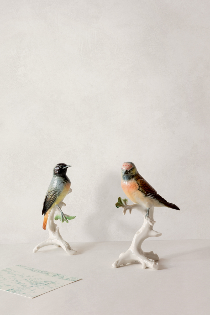 ONY502 - tapeta Calco ZEN Khroma – Khroma – zdjęcie produktu