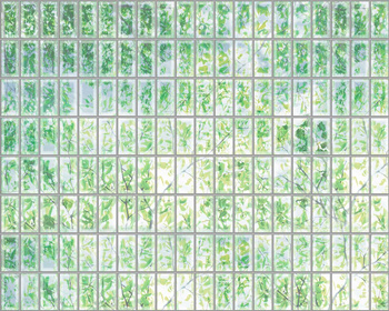 290_001 – fototapeta Taplab