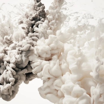 R15452 – fototapeta Frozen Moment, Cream Rebel Walls