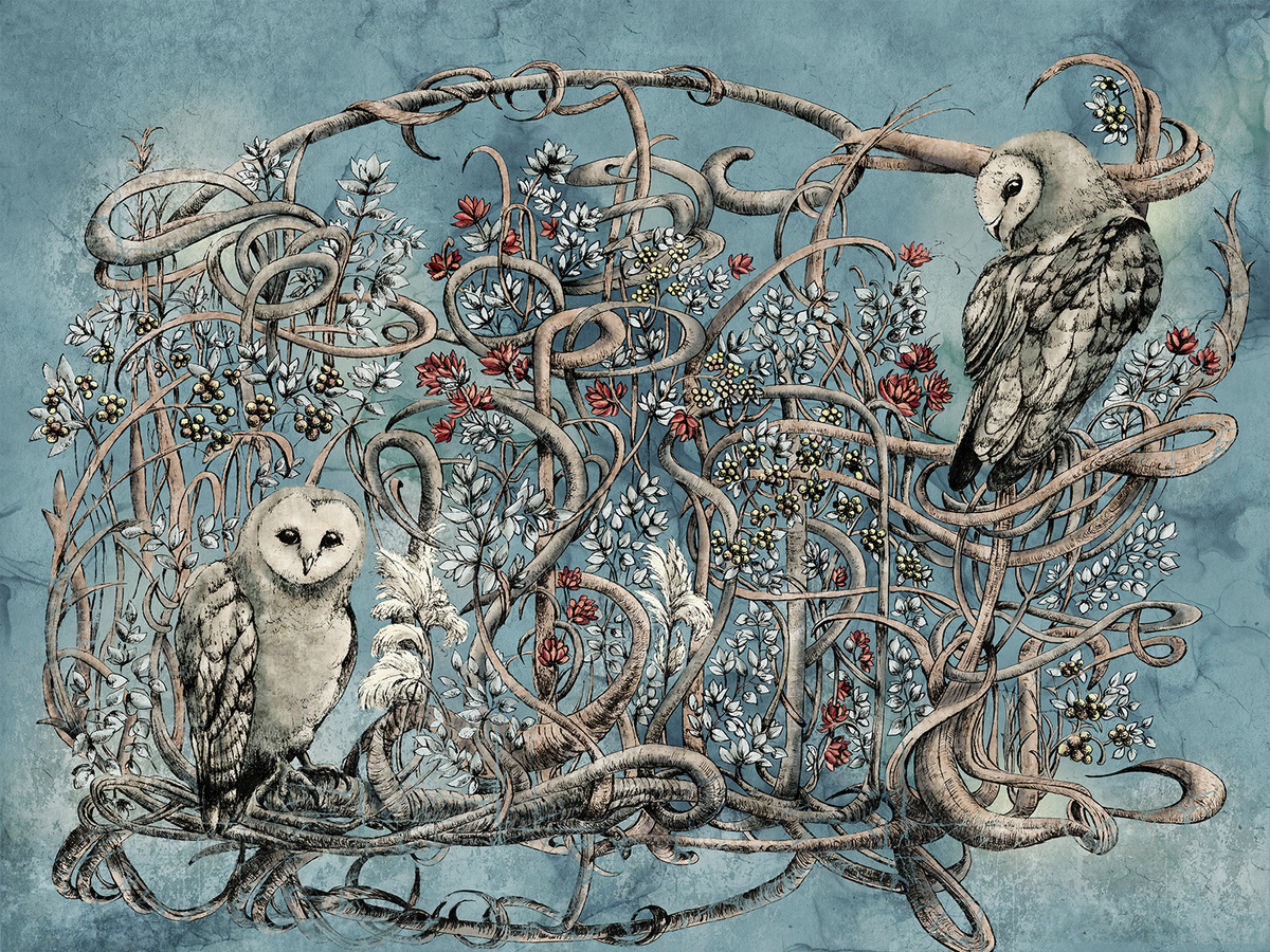 Fototapeta AVERA 500 31 2102 WallCraft – zbliżenie wzoru z sowami