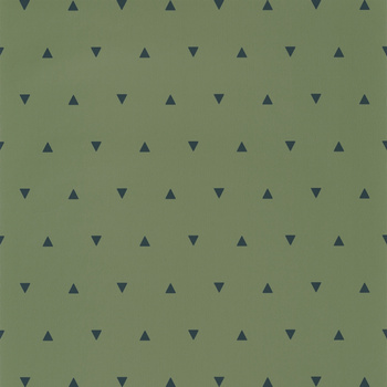 101997400 – tapeta Bermuda Triangle Our Planet Caselio