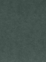 zielony