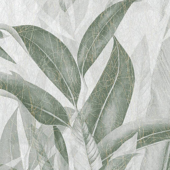 511_003 – fototapeta Pacho Taplab