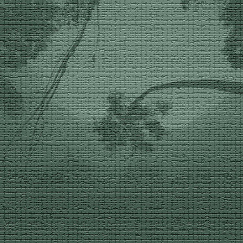 015_002 – fototapeta Taplab