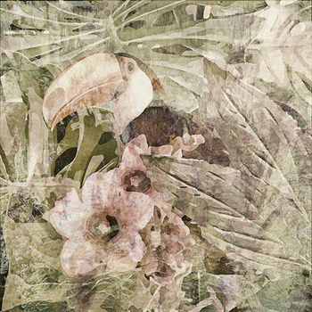 014_003 A – fototapeta Carioca Toucan Taplab