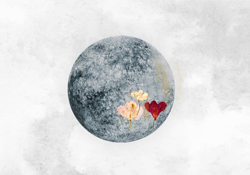 8500151 - panel Full Moon Instant Coordonne