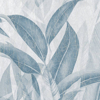 511_001 – fototapeta Pacho Taplab