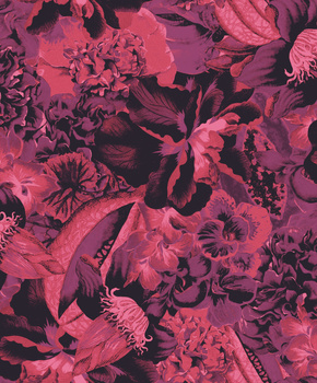 HAV903 – tapeta ścienna Frida Havana Khroma