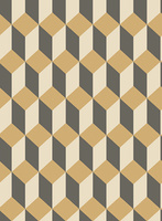 szary || brąz