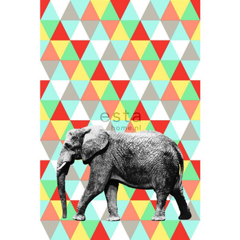 158707 - fototapeta Elephant Everybody Bonjour Esta Home