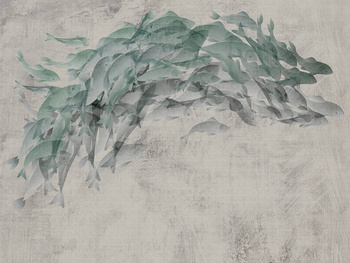 244_002 – fototapeta Shoal Taplab