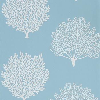 216577 – tapeta Coraline – Marine Port Isaac Sanderson Home