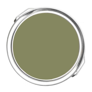 2144-20 Eucalyptus Leaf Benjamin Moore