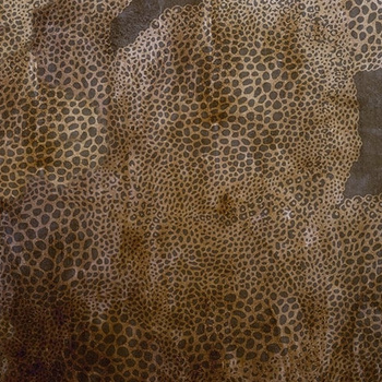 WDCH1702 – fototapeta Cheetah Contemporary 2017 Wall & Deco