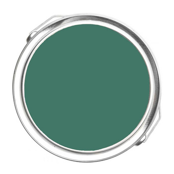 643 - Steamed Spinach Benjamin Moore