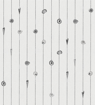 18507-02 – fototapeta Conchiglie LondonArt