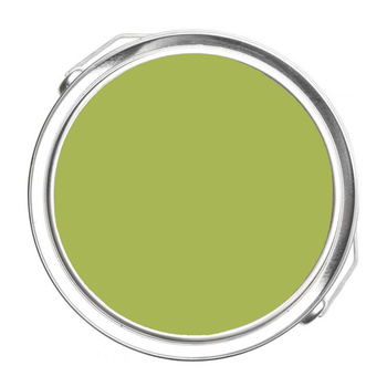 405 - Perennial Benjamin Moore