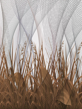 249_002 – fototapeta Taplab