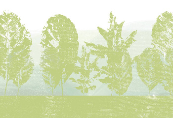 345_003 – fototapeta Taplab