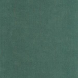 200257997- tapeta Etamine Casadeco