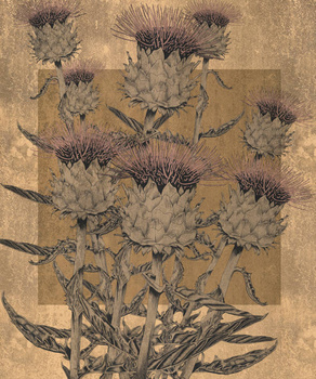 300_001 – fototapeta Calla Taplab