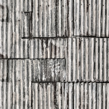 R15242 – fototapeta Backyard, Raw Rebel Walls