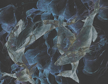 145_002 – fototapeta Megattere Taplab