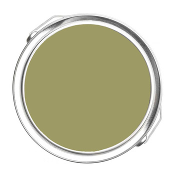 531 - Ponderosa Pine Benjamin Moore