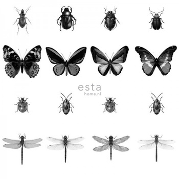 143-158827 - fototapeta Pen Drawn Insects Black And White Green House Esta Home