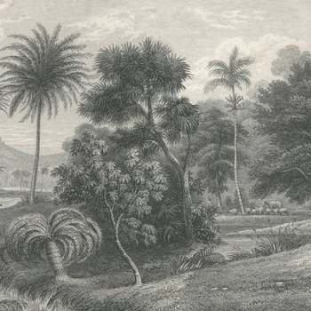 R14611 – fototapeta Jungle Land, Vintage Rebel Walls