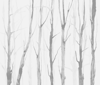 57589-2 – fototapeta  The Sign Alberi Zen Tecnografica